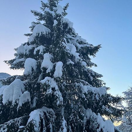 Chalet La Poipia Бофорт Екстер'єр фото