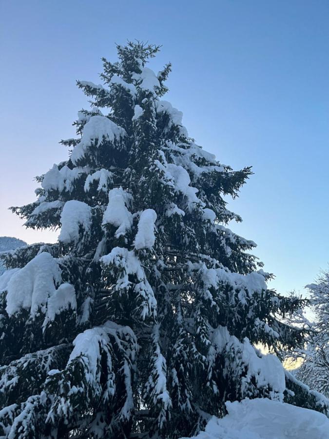 Chalet La Poipia Бофорт Екстер'єр фото